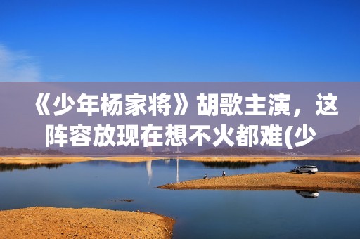 《少年杨家将》胡歌主演，这阵容放现在想不火都难(少年杨家将剧情介绍)