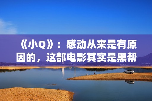 《小Q》：感动从来是有原因的，这部电影其实是黑帮片(电影小q里面的歌曲)