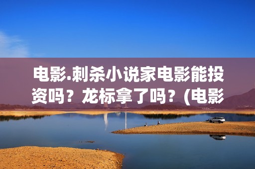 电影.刺杀小说家电影能投资吗？龙标拿了吗？(电影刺杀小说家2票房多少)