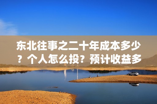 东北往事之二十年成本多少？个人怎么投？预计收益多少？(东北往事之二十年电影完整版)