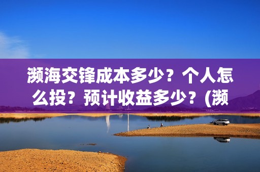 濒海交锋成本多少？个人怎么投？预计收益多少？(濒海交锋最新进展)