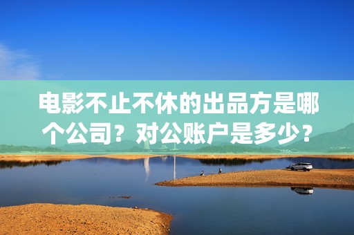 电影不止不休的出品方是哪个公司？对公账户是多少？(不止不休 mp4)