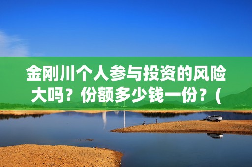 金刚川个人参与投资的风险大吗？份额多少钱一份？(金刚川专访)