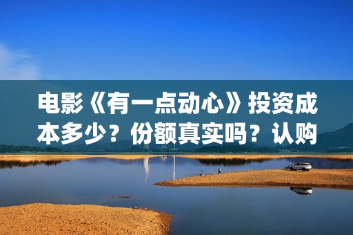 电影《有一点动心》投资成本多少？份额真实吗？认购标准？(电影有一点动心百度百科)