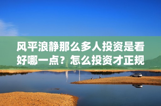 风平浪静那么多人投资是看好哪一点？怎么投资才正规？(风平浪静的时候是哪首歌)