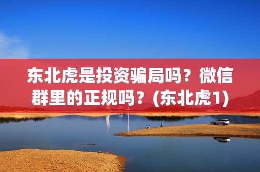 东北虎是投资骗局吗？微信群里的正规吗？(东北虎1)