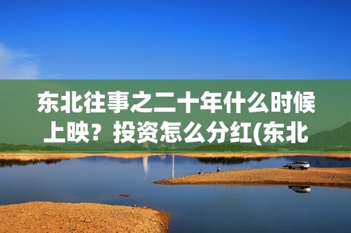 东北往事之二十年什么时候上映？投资怎么分红(东北往事之二十年上映了吗)