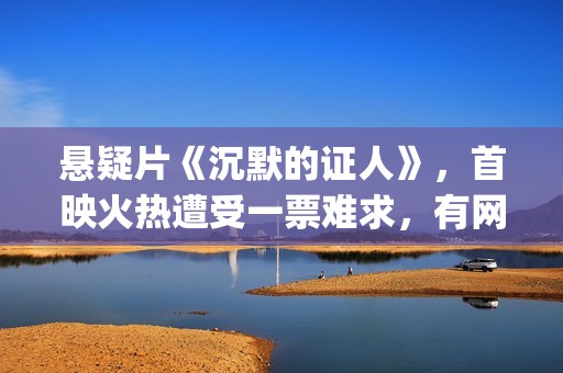悬疑片《沉默的证人》，首映火热遭受一票难求，有网友质疑是炒作(沉默的门)