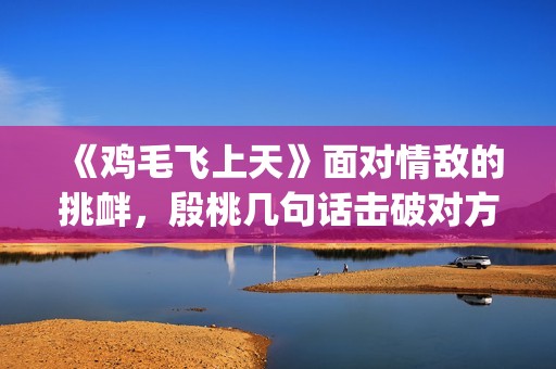 《鸡毛飞上天》面对情敌的挑衅，殷桃几句话击破对方(鸡毛飞上天剧情介绍)