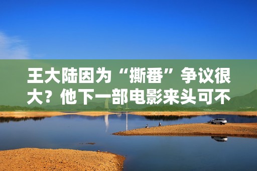 王大陆因为“撕番”争议很大？他下一部电影来头可不小