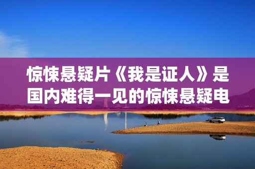 惊悚悬疑片《我是证人》是国内难得一见的惊悚悬疑电影(我恐怖片)