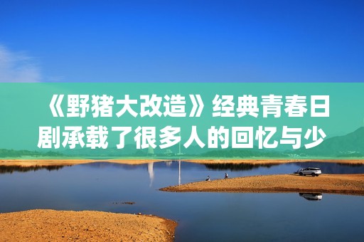 《野猪大改造》经典青春日剧承载了很多人的回忆与少女心(野猪大改造搞破坏的是谁)