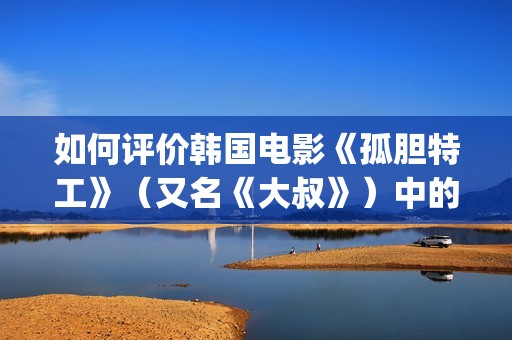 如何评价韩国电影《孤胆特工》（又名《大叔》）中的人物(韩国人评价中国电影)
