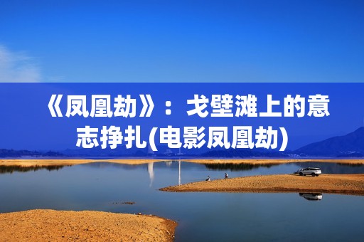 《凤凰劫》：戈壁滩上的意志挣扎(电影凤凰劫)