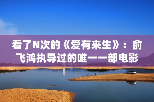 看了N次的《爱有来生》：俞飞鸿执导过的唯一一部电影(看了n次的《爱》的感悟)