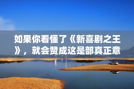 如果你看懂了《新喜剧之王》，就会赞成这是部真正意义上的好电影(如果你听懂了)