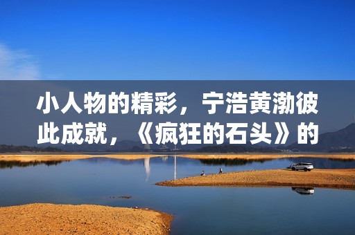 小人物的精彩，宁浩黄渤彼此成就，《疯狂的石头》的成功不无道理(小人物的精彩人生)
