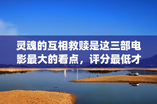 灵魂的互相救赎是这三部电影最大的看点，评分最低才8.9分(灵魂的救赎 双向的爱慕)