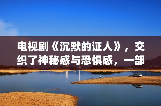 电视剧《沉默的证人》，交织了神秘感与恐惧感，一部经典的刑侦剧(电视剧《沉默的证人》)
