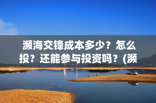  濒海交锋成本多少？怎么投？还能参与投资吗？(濒海交锋投资成本)