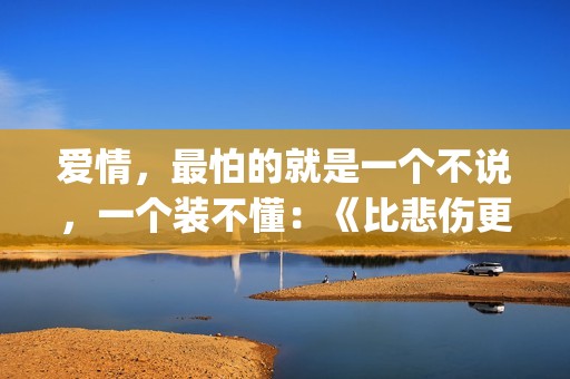 爱情，最怕的就是一个不说，一个装不懂：《比悲伤更悲伤的故事》(感情中最怕的就是)