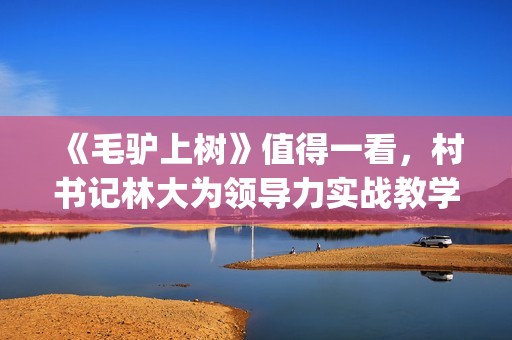 《毛驴上树》值得一看，村书记林大为领导力实战教学，学到就赚了(《毛驴上树》值得看吗)