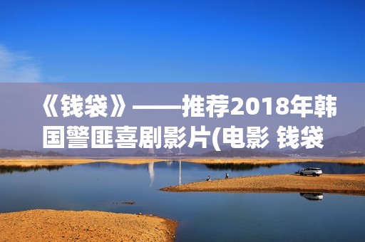 《钱袋》——推荐2018年韩国警匪喜剧影片(电影 钱袋)