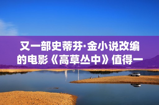 又一部史蒂芬·金小说改编的电影《高草丛中》值得一看(史蒂芬ricci)