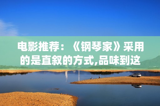 电影推荐：《钢琴家》采用的是直叙的方式,品味到这部史诗电影的历史厚重感(钢电影剧情)
