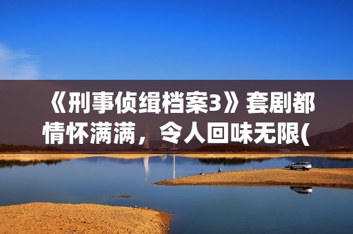 《刑事侦缉档案3》套剧都情怀满满，令人回味无限(刑事侦缉档案3国语版免费播放)