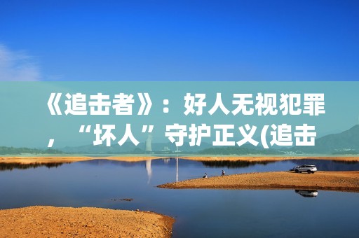 《追击者》：好人无视犯罪，“坏人”守护正义(追击者cut)