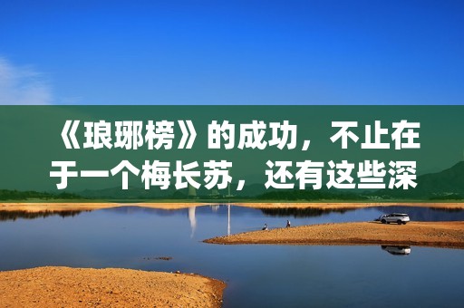 《琅琊榜》的成功，不止在于一个梅长苏，还有这些深入人心的角色(琅琊榜中的成语)