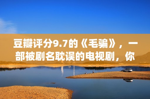 豆瓣评分9.7的《毛骗》，一部被剧名耽误的电视剧，你看过没？(豆瓣评分9.0以上的)