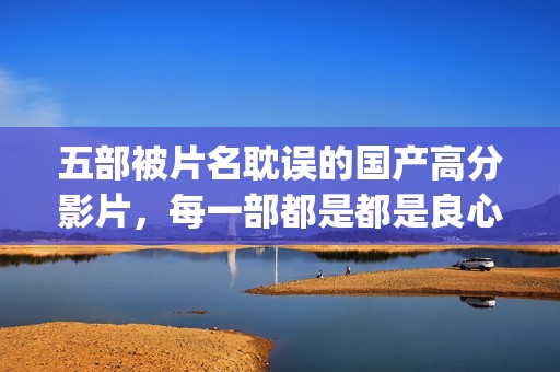 五部被片名耽误的国产高分影片，每一部都是都是良心之作(被耽误了的电影明星)