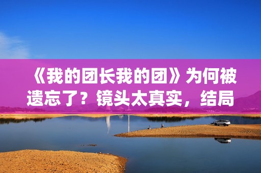 《我的团长我的团》为何被遗忘了？镜头太真实，结局太虐心(我的团长我的团剧情介绍)