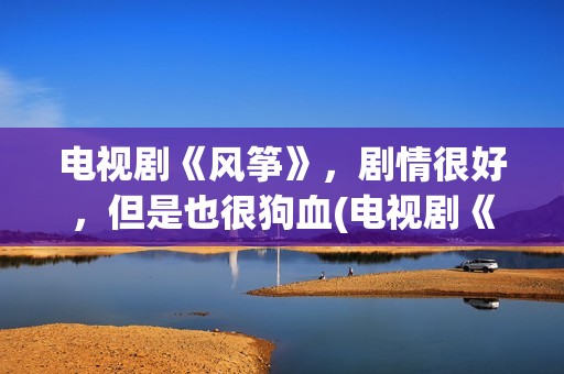 电视剧《风筝》，剧情很好，但是也很狗血(电视剧《风筝》在线观看)
