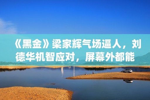 《黑金》梁家辉气场逼人，刘德华机智应对，屏幕外都能感觉到寒气(《黑金》梁家辉做旗袍)