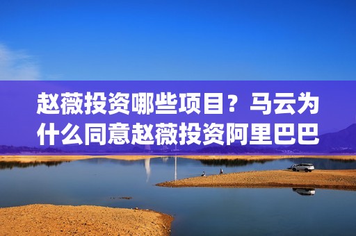 赵薇投资哪些项目？马云为什么同意赵薇投资阿里巴巴(赵薇投资赚了多少钱)