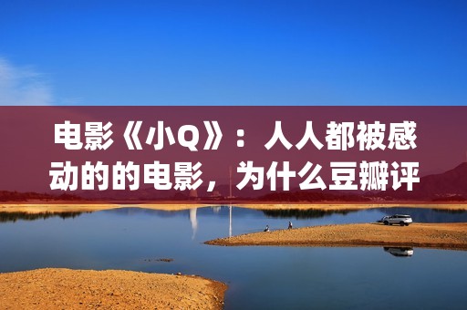 电影《小Q》：人人都被感动的的电影，为什么豆瓣评分却在走低？(小 q电影)