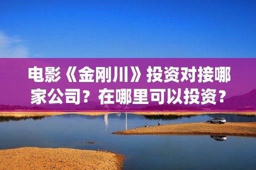 电影《金刚川》投资对接哪家公司？在哪里可以投资？制作成本多少？(电影金刚川观后感)