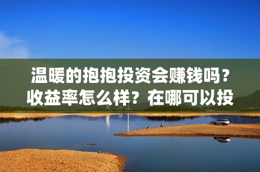 温暖的抱抱投资会赚钱吗？收益率怎么样？在哪可以投资(温暖的抱抱投资商)