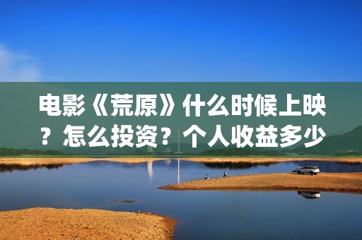 电影《荒原》什么时候上映？怎么投资？个人收益多少？(荒原电视)