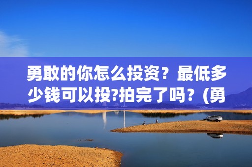 勇敢的你怎么投资？最低多少钱可以投?拍完了吗？(勇敢的你投资多少钱)