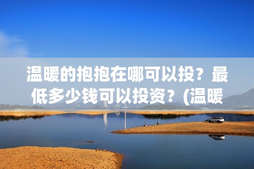 温暖的抱抱在哪可以投？最低多少钱可以投资？(温暖的抱抱是什么剧情)