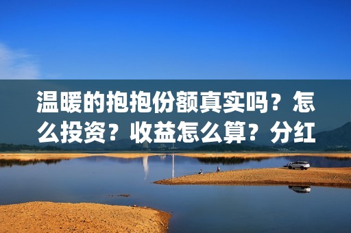 温暖的抱抱份额真实吗？怎么投资？收益怎么算？分红(温暖的抱抱还没分红)