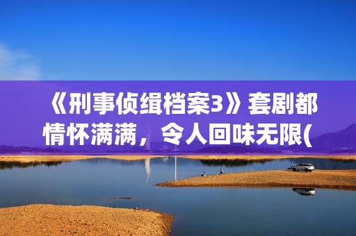 《刑事侦缉档案3》套剧都情怀满满，令人回味无限(刑事侦缉档案2)