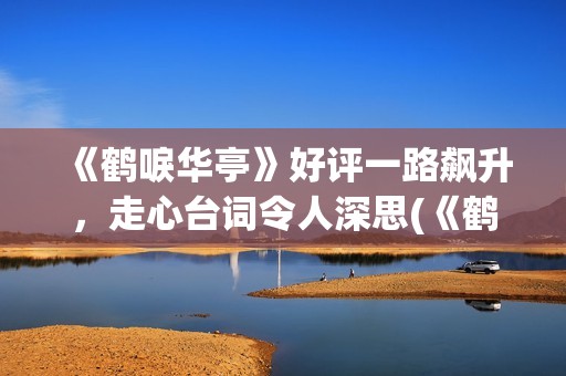 《鹤唳华亭》好评一路飙升，走心台词令人深思(《鹤唳华亭》好词好句)