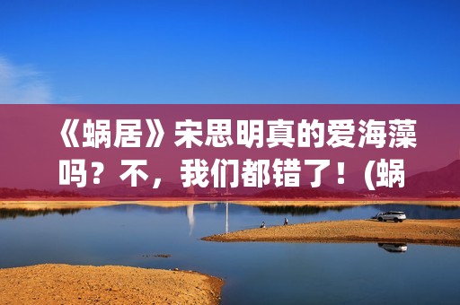 《蜗居》宋思明真的爱海藻吗？不，我们都错了！(蜗居宋思明最后出车祸时说了些什么)