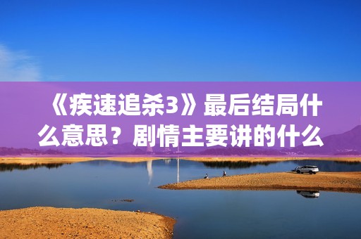 《疾速追杀3》最后结局什么意思？剧情主要讲的什么内容？(疾速追杀3免费高清完整在线观看)