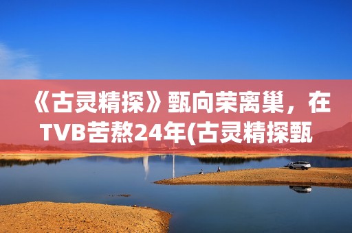 《古灵精探》甄向荣离巢，在TVB苦熬24年(古灵精探甄向荣小说)